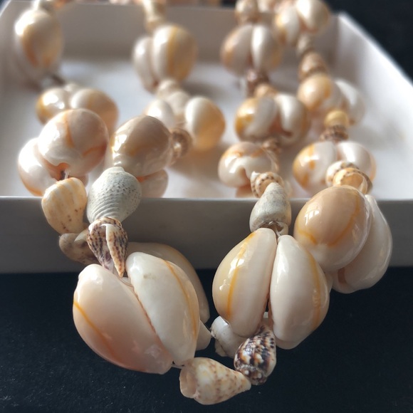 Natural Sea Shell Necklace 17" - Picture 2 of 2